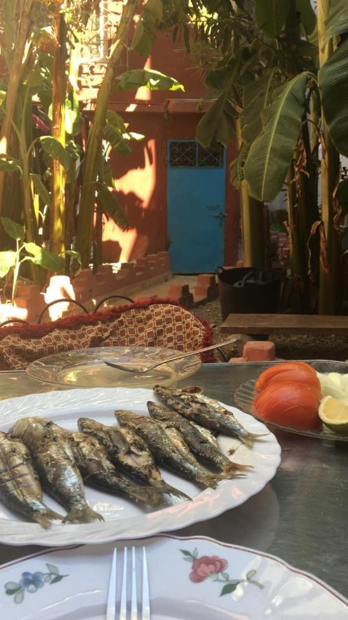 Dar El Pirata Hostel Asilah Eksteriør bilde